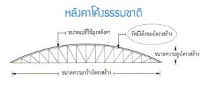 ส่วนประกอบโค้งโดม