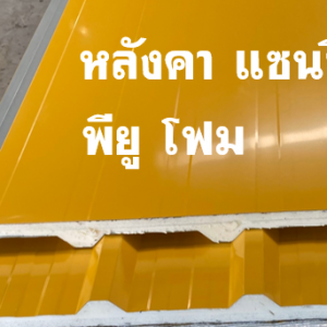 แซนวิช พียู สีเหลือง ท้องเหลือง