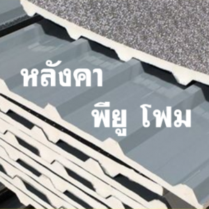 หลังคา พียูโฟม สีเทา