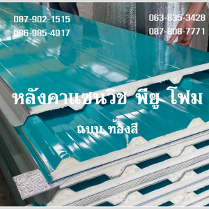 แซนวิช พียู สีเขียว ท้องเขียวบางจาก