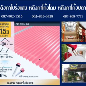 แผ่นโปร่งแสง P01 สีชมพู Pink