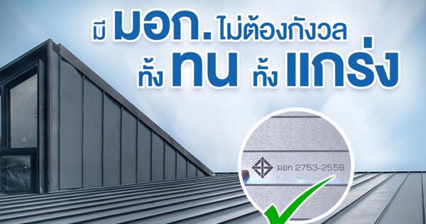 สไปเดอร์ แบล็ค บลูสโคป แซคส์ (BLUESCOPE ZACS®)