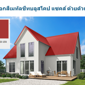 คาสเทิล เรด บลูสโคป แซคส์ (BLUESCOPE ZACS®)
