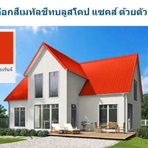 ซิตรัส โอเร้นจ์ บลูสโคป แซคส์ (BLUESCOPE ZACS®)