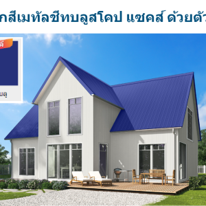 นูโว บลู บลูสโคป แซคส์ (BLUESCOPE ZACS®)
