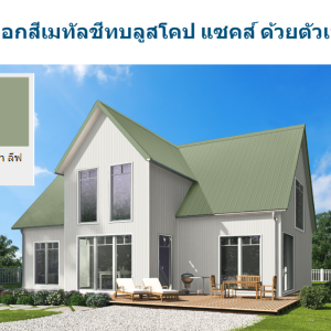 บานาน่า ลีฟ บลูสโคป แซคส์ (BLUESCOPE ZACS®)