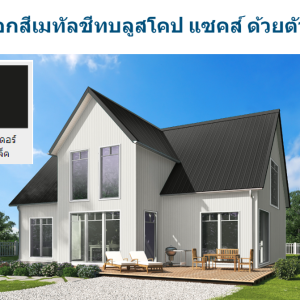 สไปเดอร์ แบล็ค บลูสโคป แซคส์ (BLUESCOPE ZACS®)