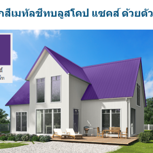 อัลไมตี้ ไวโอเล็ท บลูสโคป แซคส์ (BLUESCOPE ZACS®)