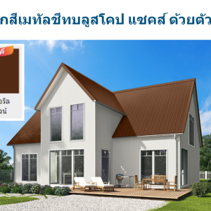 เนเชอรัล บราวน์ บลูสโคป แซคส์ (BLUESCOPE ZACS®)