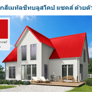 เอชจี ไทเกอร์ เรด บลูสโคป แซคส์ (BLUESCOPE ZACS®)