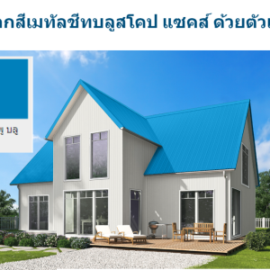 แชมพู บลู บลูสโคป แซคส์ (BLUESCOPE ZACS®)
