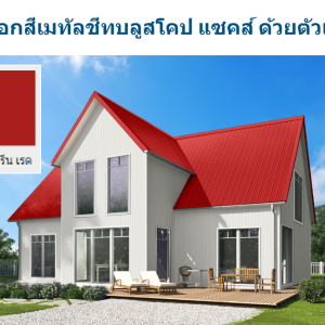 แทมมารีน เรด บลูสโคป แซคส์ (BLUESCOPE ZACS®)