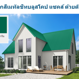 ไบร์ท กรีน บลูสโคป แซคส์ (BLUESCOPE ZACS®)